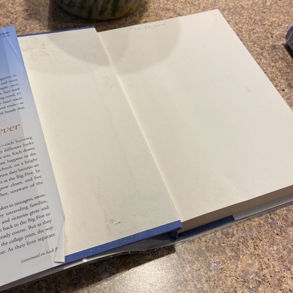 2 Danielle Steel Hardcover Books Forever Friends & Amazing Grace - Picture 16 of 17